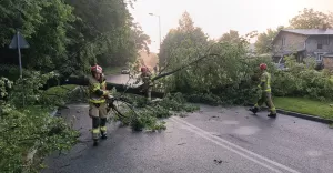Burzowa noc nad Bielskiem-Białą. Strażacy interweniowali 26 razy
