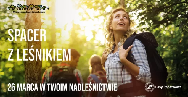 Podczas spaceru z leśnikiem będzie można poznać tajniki lasu