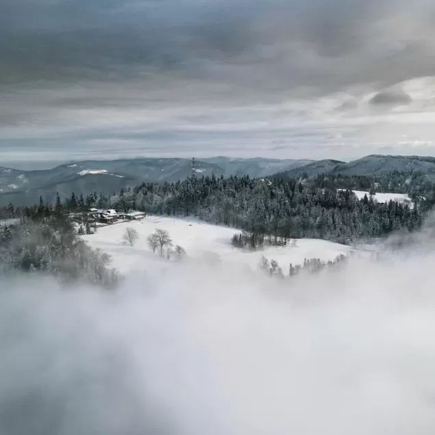 Bielsko,BielskoBiała,Wilkowice,Beskidy,BeskidMały,MagurkaWilkowicka,Góry,Zima,LoveBB,fotodnia,in