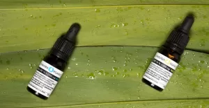 cbd dla psow jak pomaga w lagodzeniu leku stresu i zaburzen zachowania