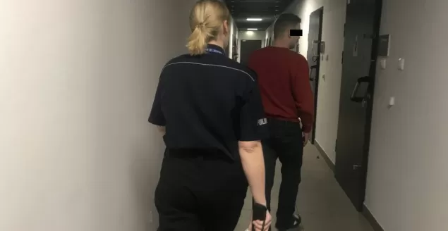 policja, zatrzymanie, areszt