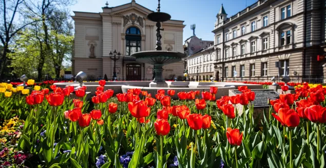 Bielsko-Biała kwitnie na wiosnę