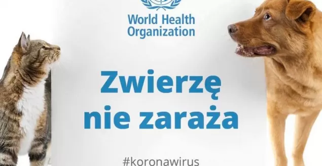 zwierzęta koronawirus