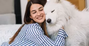petsitter bielsko-biala pethomer