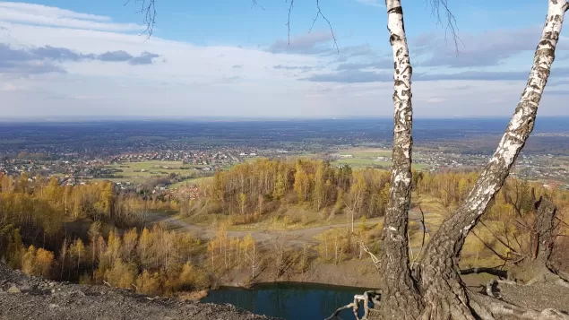 przepiękny staw w środku koziańskiego lasu