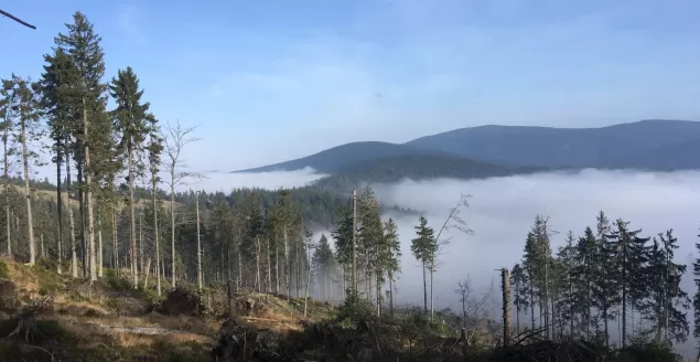 Beskidy z Tatrami w tle. Wędrujemy na Rysiankę
