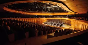 Cavatina Philharmonic Orchestra kończy pierwszy sezon i zapowiada ambitną przyszłość