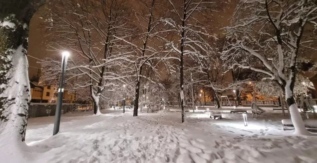 Ogrodnik miejski apeluje: nie wchodźcie do parków!