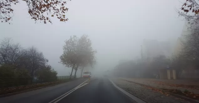 mgła