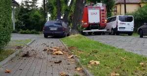 Pijacka szarża po chodnikach