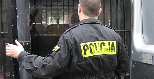policja, zatrzymanie