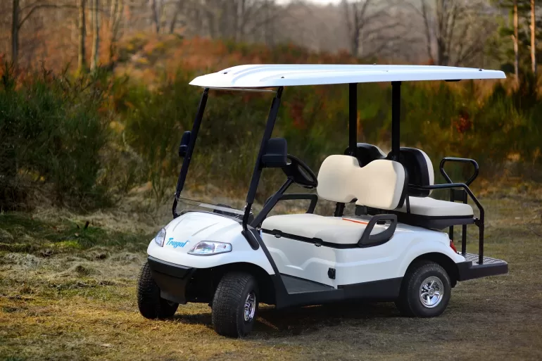 elektryczny wózek golfowy