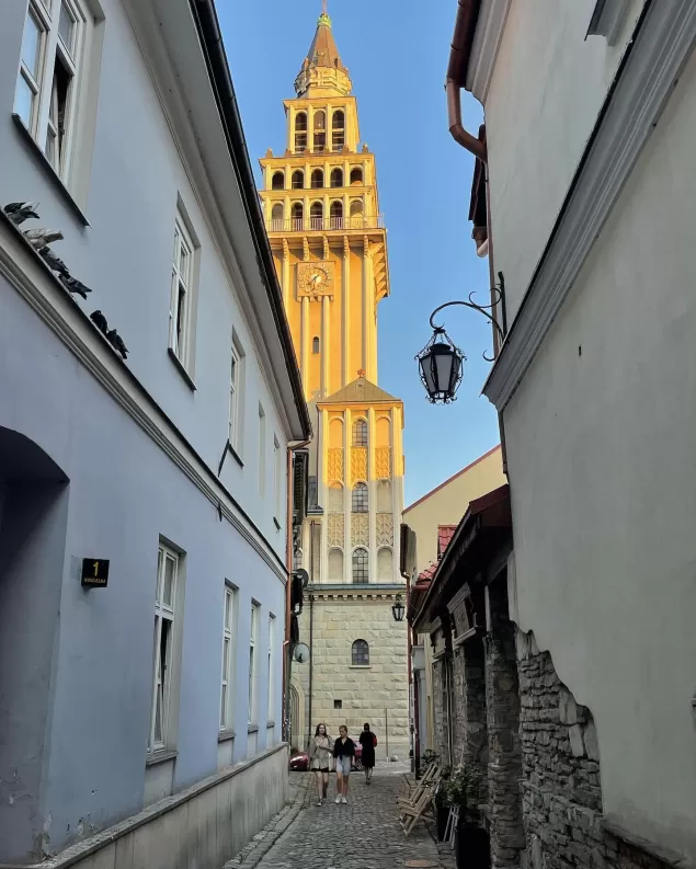 BielskoBiała,katedraśwmikołajawbielskubiałej,starówkawBielskuBiałej,fotodnia,instagram