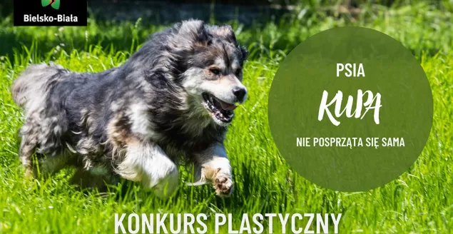 UM ogłosił konkurs "Psia kupa nie posprząta się sama"
