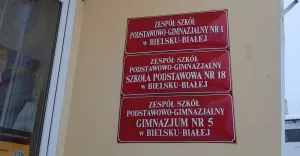 sp19, g15