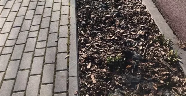 Miejsce po nasadzeniach, obręb kładki prowadzącej na ulice Kaskadową