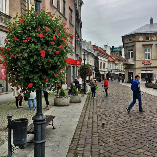 bielskobiała,biała,11listopada,traktcesarski,placwojskapolskiego,ilovebb,fotodnia,instagram