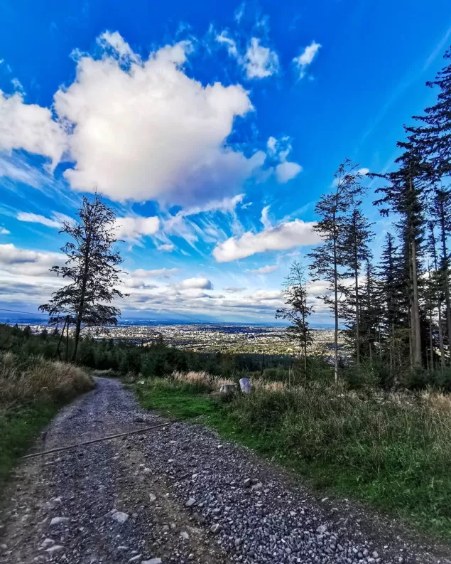 pocztowkazbielska,bielskobiala,bielsko,koziagórka,jesien2020,fotodnia,instagram