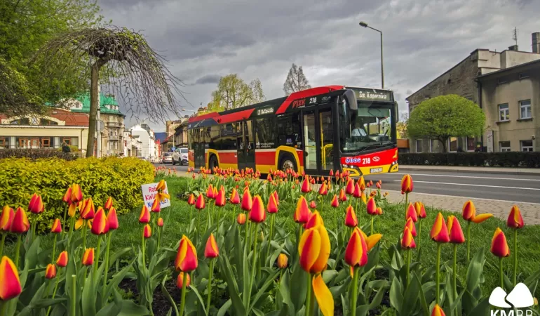 Rozkład jazdy autobusów podczas tegorocznej majówki