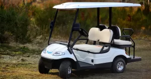 elektryczny wózek golfowy