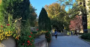 bielskobiała,biała,ratuszbielsko,parkratuszowy,złotajesień,babielato,ilovebb,fotodnia,instagram