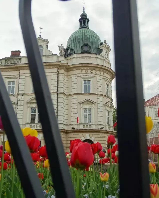 Pocztówkazbielska,BielskoBiała #architektura #architecture #pocztapolska #kwiaty #tulipany