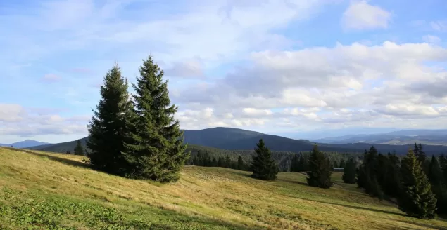 Beskidy z Tatrami w tle. Wędrujemy na Rysiankę