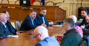246 drzew do wycięcia? Nadzwyczajne posiedzenie Rady ds. Ekologii