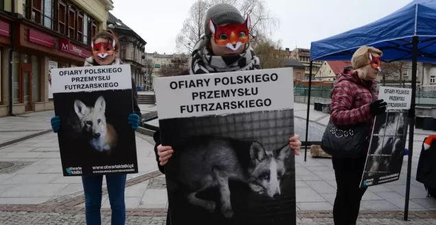 otwarte klatki