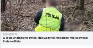 Fałszywe artykuły w sieci