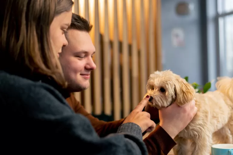 O czym warto pamiętać przy adopcji psa? 7 wskazówek