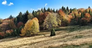 bielskobiala,bielsko,straconka,gory,jesien,październik,fotodnia,instagram