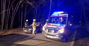 Drzewo spadło na jadący samochód - 4.04.2022