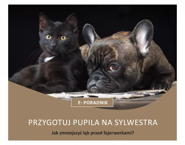 eporadnik