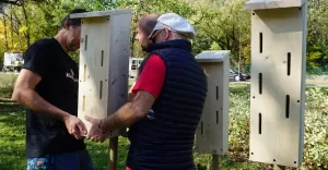 Ekolodzy zamontują schronienia dla motyli, będą mówić o ich ochronie