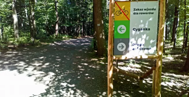 Nowe oznaczenia w Cygańskim Lesie. Będzie bezpieczniej?