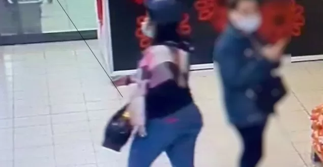 Wizerunek kobiety poszukiwanej przez policję