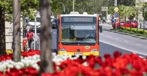 Zmiany w komunikacji miejskiej na wakacje: zawieszenie linii 14 i nowa linia nocna N3