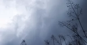 wiatr, wichura, pogoda