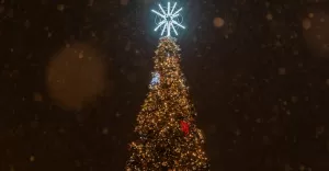 Rozświetlenie choinki - 6.12.2023