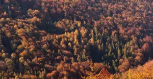 Beskid Śląski - Jesienne Impresje