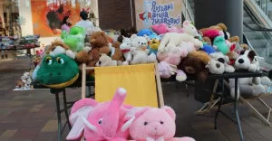 VI edycja akcji "Pluszaki ratują zwierzaki". Rusza zbiórka!