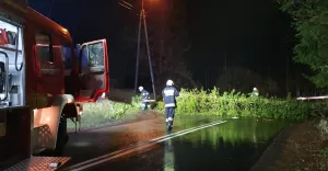 wiatrołom
