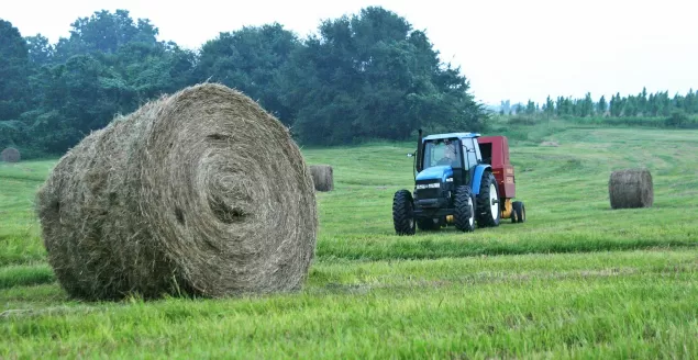 traktor,ciągnik,rolnik,rolnictwo,pole,rola,uprawa