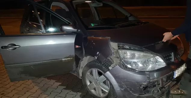 Potrącenie dzika na al. Andersa - 26.10.2017