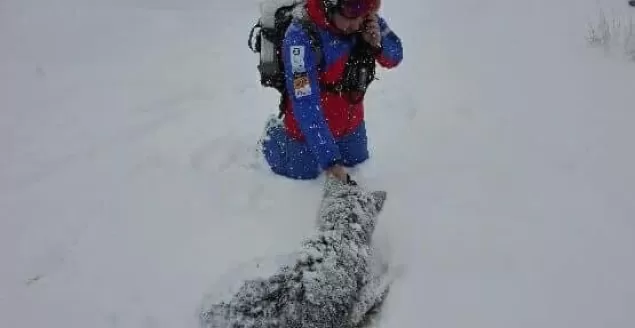 Akcja GOPR na Hali Skrzyczeńskiej - 4.02.2018