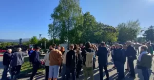 Mieszkańcy Sarniego Stoku chcą zablokować wycinkę drzew wokół ich osiedla