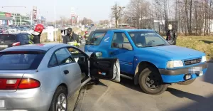 kolizja na sarnim stoku
