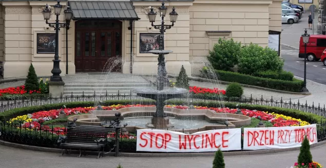teatr polski, wycinka drzew
