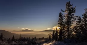wyjść ponad smog